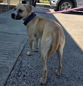 Photo of Freddy / Blue