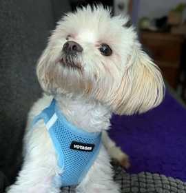 Janie B Goode photo 2