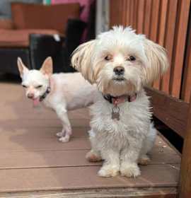 Janie B Goode photo 1