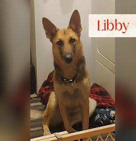 Photo of Libby
