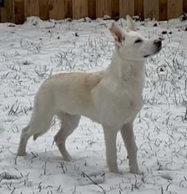 Photo of Charlotte de Berry