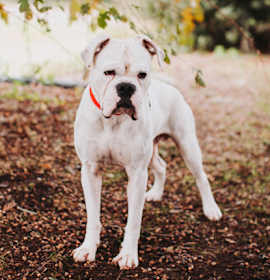 Photo of 90031a Miller