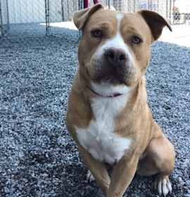 Photo of Chloe FKA Cleo