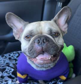 Photo of Devina (Courtesy Post)