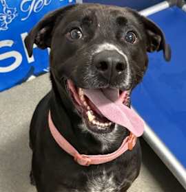 Photo of Carl 4 years old