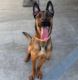 Photo of Luca C000 - City of Industry Location