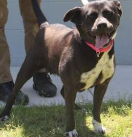 Photo of Princess URGENT ‼️