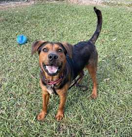 Photo of Count Sniffula