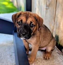 Photo of Biggie Trolls