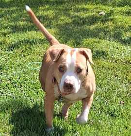 Wilma (NJ) Sweet Quiet Girl! photo 2