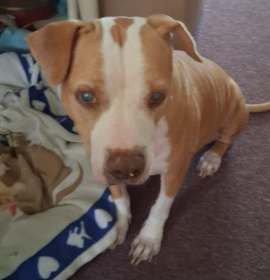 Wilma (NJ) Sweet Quiet Girl! photo 3