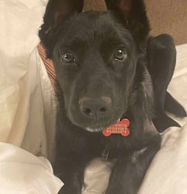 Photo of Christina Waguilara