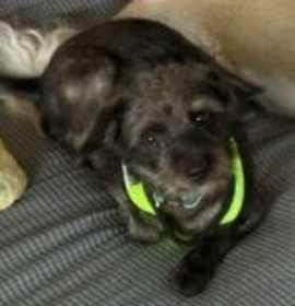 Photo of Crackle 1528