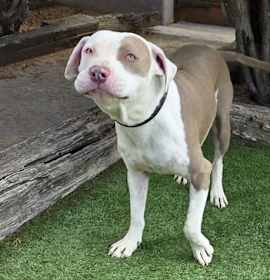 Joyful Mr Judd ~ SWEET ! photo 3