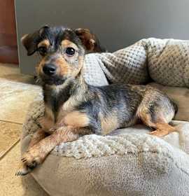 Photo of Louis Rogers