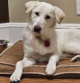 Photo of 25-092 Harper