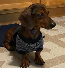 Jeremiah $500 photo 1