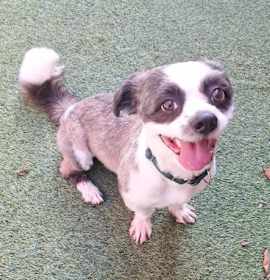 Milo- By Appointment Only photo 1