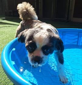 Milo- By Appointment Only photo 2