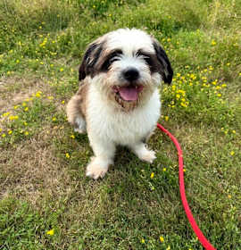 Milo- By Appointment Only photo 3