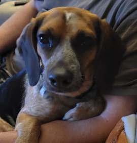 Photo of Dirty Martini