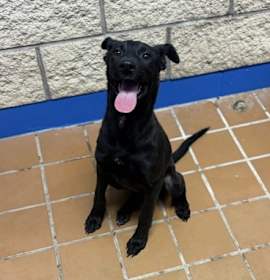 Photo of Tammi K64 10/10/25