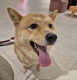 Photo of Philip (HDS)