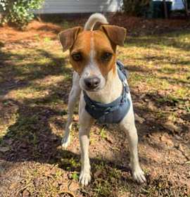 Photo of Buzz & Woody