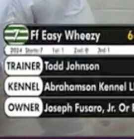 Photo of FF Easy Wheezy (Wheezy)