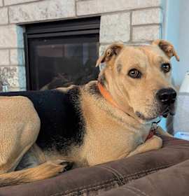 Photo of Relay (AKA Thor)