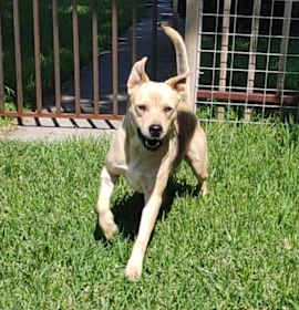 Relay (AKA Thor) photo 2