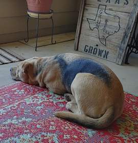 Relay (AKA Thor) photo 4