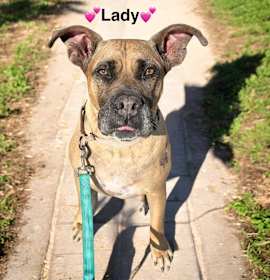 Photo of Lady-The Name Fits!