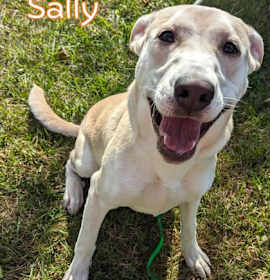 Photo of Sally