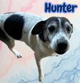 Photo of Hunter