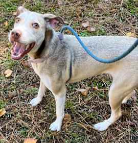 Bryson Michael photo 3