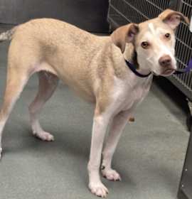 Bryson Michael photo 4