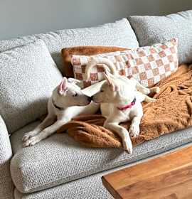 SPICE & TIKO photo 4