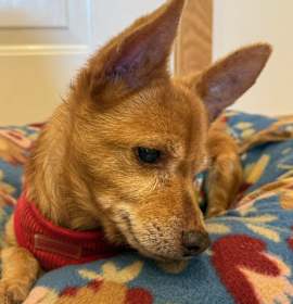 Photo of Johnny (VA) update!