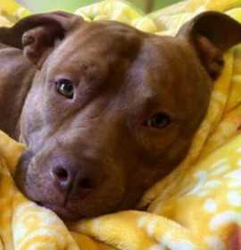 Calvin Klein photo 1