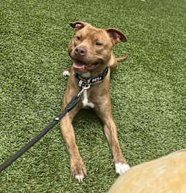 Calvin Klein photo 2