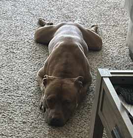 Calvin Klein photo 4