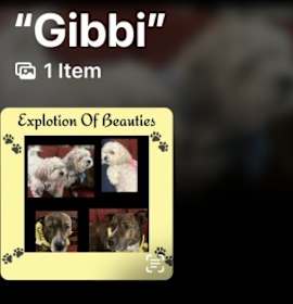 Photo of Gibbi