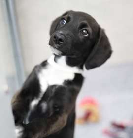 Doritos Cool Ranch photo 3