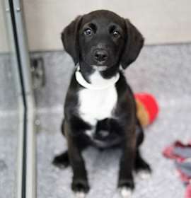 Doritos Cool Ranch photo 4