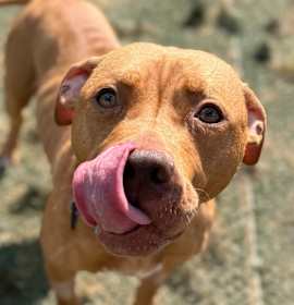 Valentina/Mom  photo 2