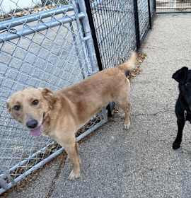 Photo of Beckett & Berkley