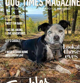 Photo of Freckles (Courtesy Post)