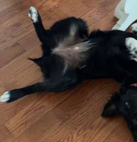 Livvy (Baby) photo 3