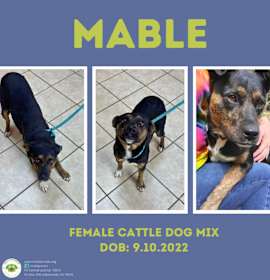 Photo of Mable